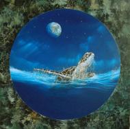 Mare tranquilitatis