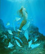 Daniel TERNON - Artiste peintre - Le 7eme jour 2