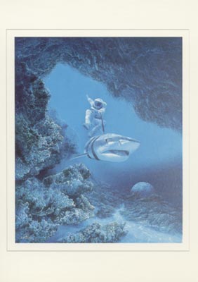 Les cartes postales carte n°19