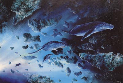 Les cartes postales carte n°21
