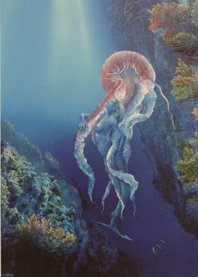 Les cartes postales carte n°13