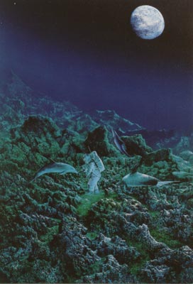 Les cartes postales carte n°9