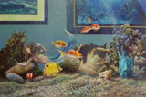 L'aquarium de mr bulot